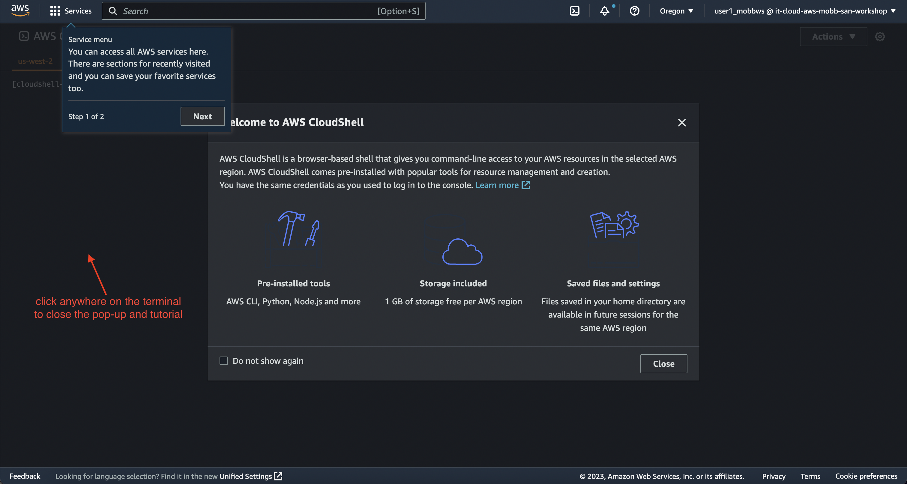 AWS CloudShell - Close Introduction Pop-up
